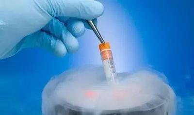 孕妈供卵代怀助孕咨询微信群生殖医学中心